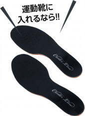 運動靴に入れるなら！！