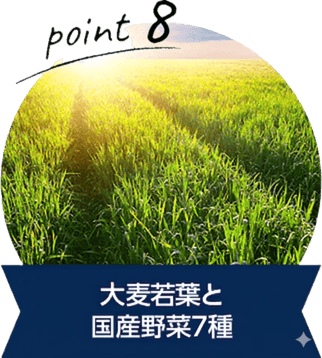 大麦若葉と 国産野菜7種